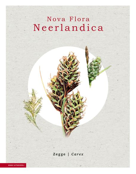 Nova Flora Neerlandica - Zegge - Carex