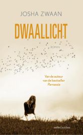 Dwaallicht