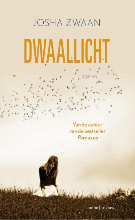 Dwaallicht