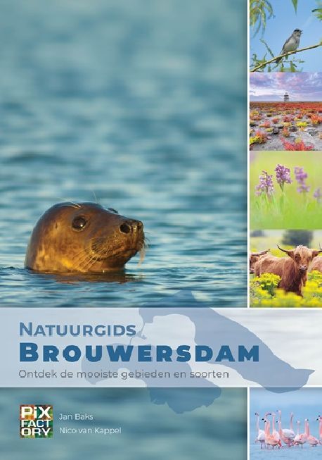 Natuurgidsen - Natuurgids Brouwersdam