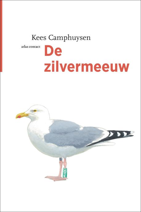 De vogelserie - De zilvermeeuw