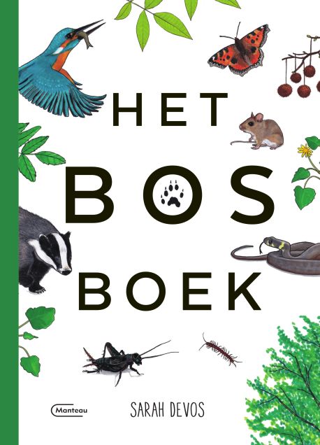 Het bosboek