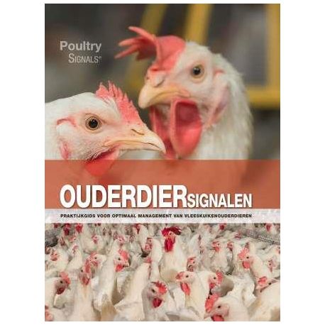 Kipsignalen - Ouderdiersignalen