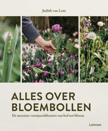 Alles over bloembollen