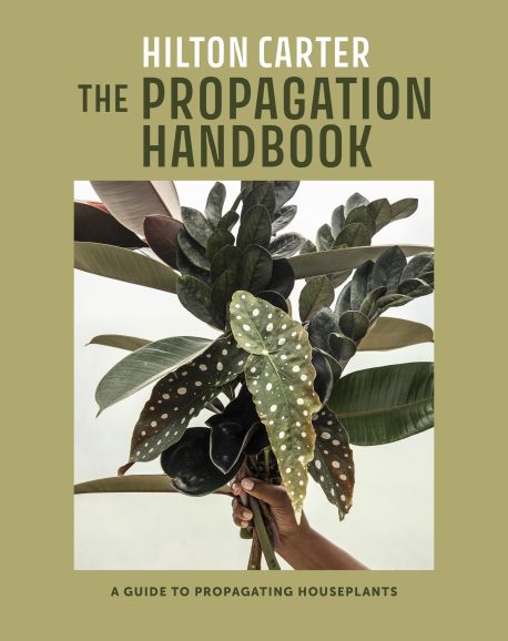 The Propagation Handbook The Propagation Handbook