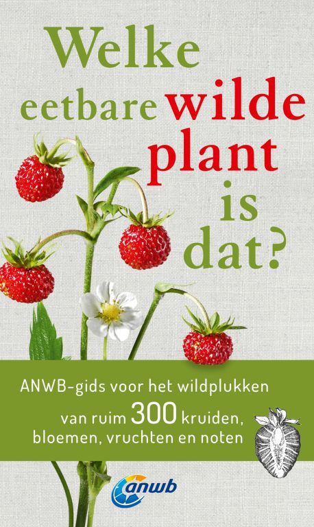 Welke is dat? Natuurgidsen - Welke eetbare wilde plant is dat?