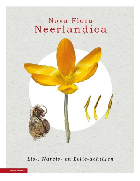 Nova Flora Neerlandica - Nova Flora Neerlandica deel 3 - Lis-, Narcis- en Lelieachtigen