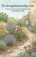 De droogtebestendige tuin