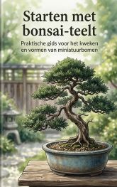 Starten met bonsai-teelt