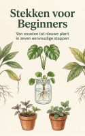 Stekken voor Beginners