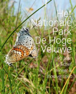 De Hoge Veluwe