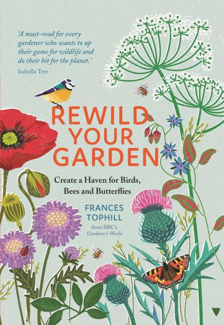Greenfinch - Rewild Your Garden