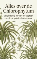 Alles over de Chlorophytum