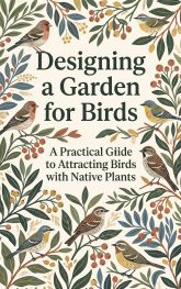 Designing a Garden for Birds