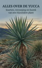 Alles over de Yucca