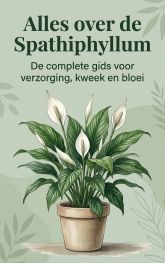Alles over de Spathiphyllum