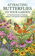 Attracting Butterflies to Your Garden
