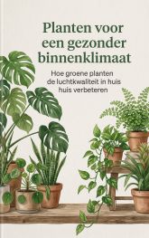 Planten voor een gezonder binnenklimaat