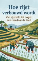 Hoe rijst verbouwd wordt