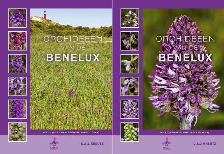 Orchideeën van de Benelux