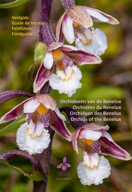 Orchideeën van de Benelux