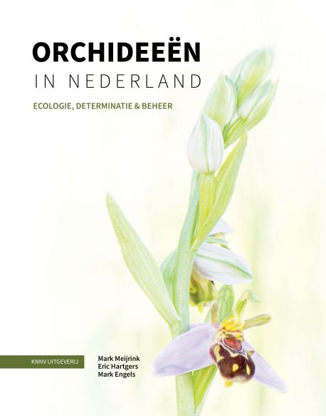 Orchideeën in Nederland